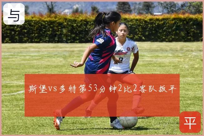 斯堡vs多特第53分钟2比2客队扳平